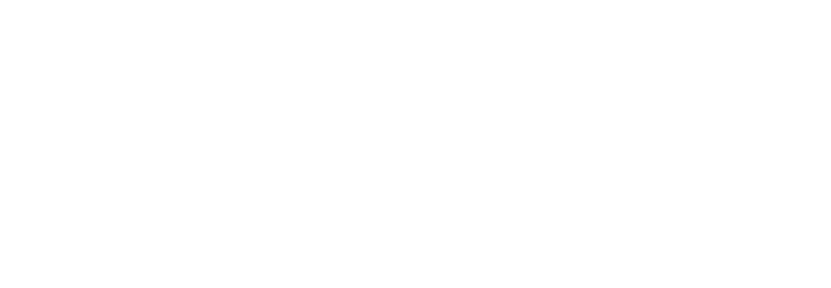 Bouton Logo Blanc