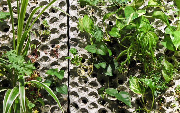 Façades vertes en panneaux Butong en béton durable - pour des murs verts durables et durables. Livré par Butong AB Stockholm et Paris au monde