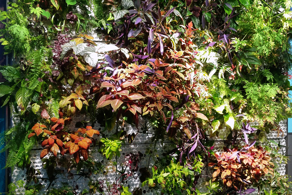 Jardin vertical d'intérieur et mur végétal de Butong en béton durable