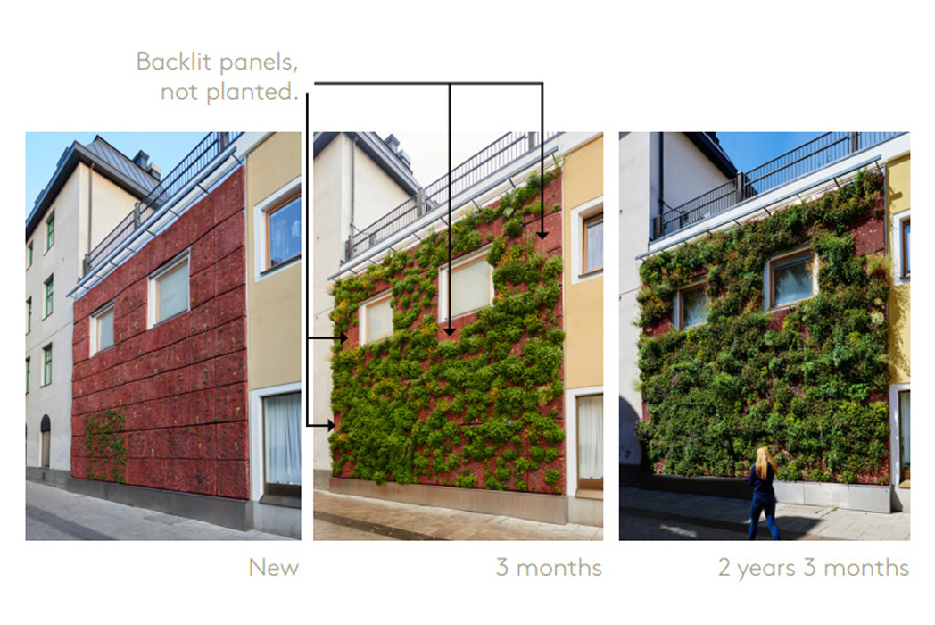 Tillväxtexpansion på en grön fasad i Uppsala leverad av Butong 