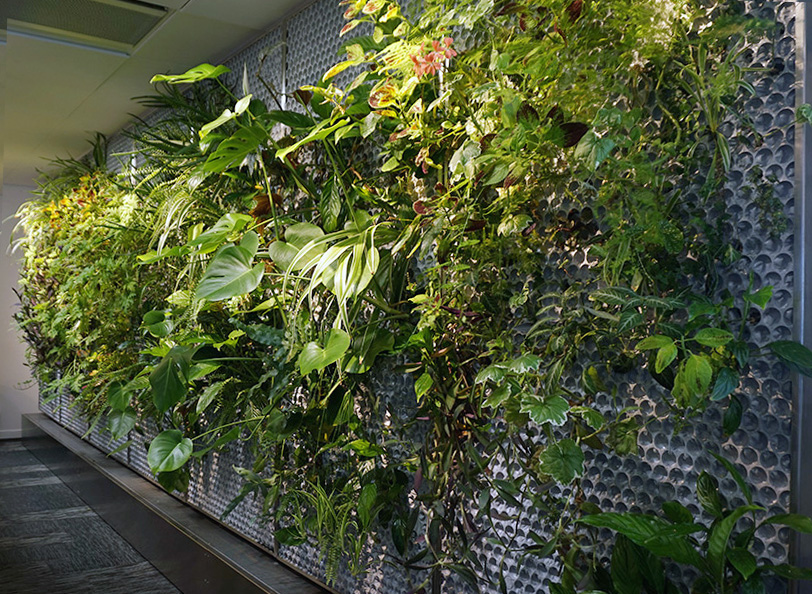 Un mur vivant à la réception SAAB par Butong AB - fournisseur leader de jardins verticaux