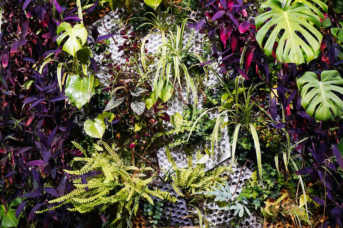 Indoor vertical garden and green wall from Butong in sustainable concrete